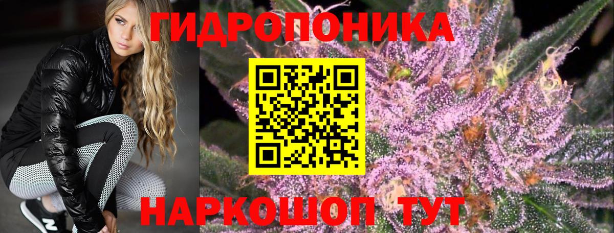 Бошки Шишки сатива Ачхой-Мартан